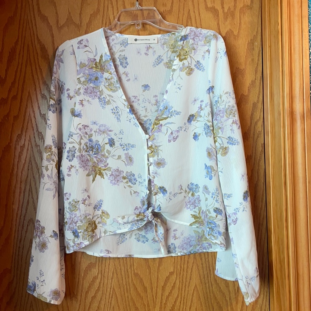 The impeccable pig - blouse